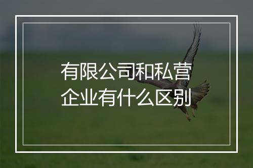 有限公司和私营企业有什么区别