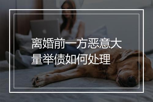 离婚前一方恶意大量举债如何处理