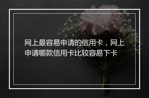 网上最容易申请的信用卡，网上申请哪款信用卡比较容易下卡