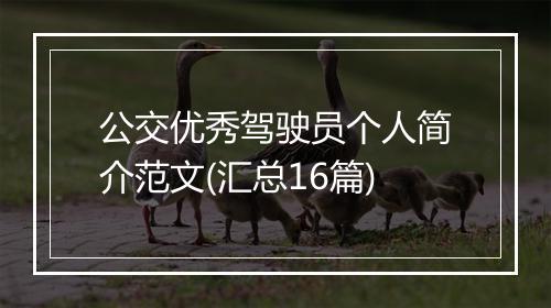 公交优秀驾驶员个人简介范文(汇总16篇)