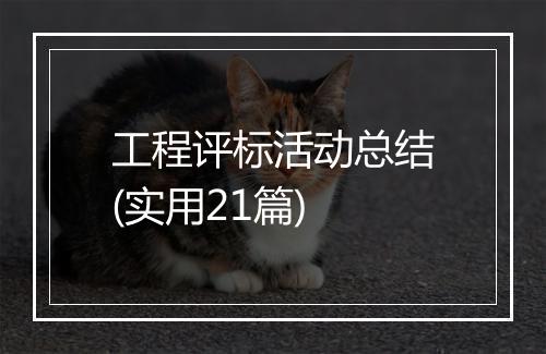 工程评标活动总结(实用21篇)
