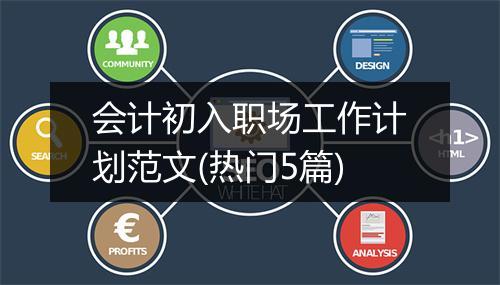 会计初入职场工作计划范文(热门5篇)