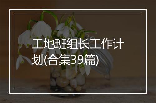 工地班组长工作计划(合集39篇)