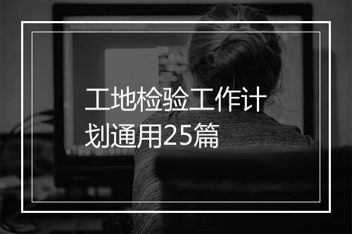 工地检验工作计划通用25篇