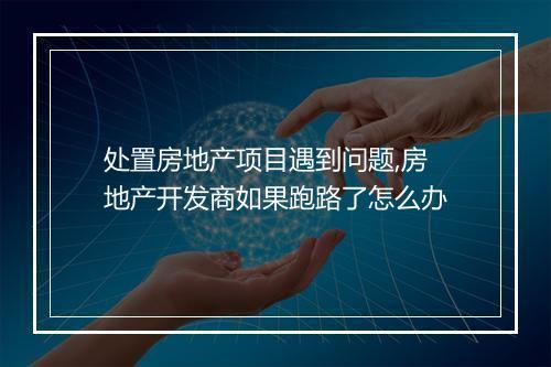 处置房地产项目遇到问题,房地产开发商如果跑路了怎么办