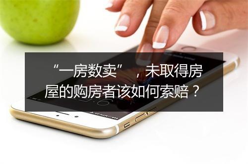 “一房数卖”，未取得房屋的购房者该如何索赔？