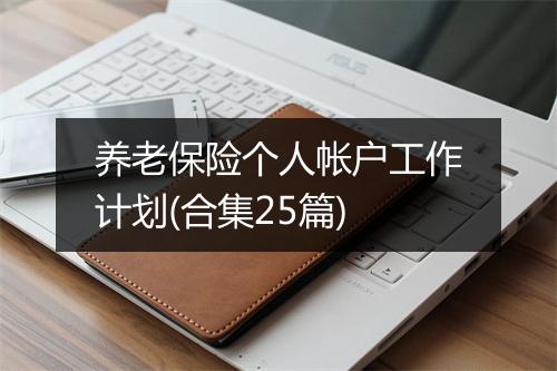 养老保险个人帐户工作计划(合集25篇)