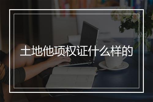 土地他项权证什么样的