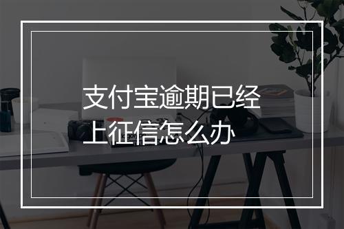 支付宝逾期已经上征信怎么办