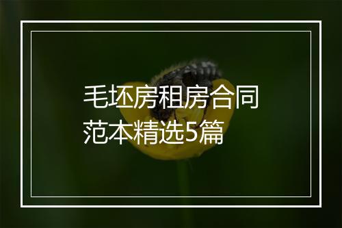 毛坯房租房合同范本精选5篇