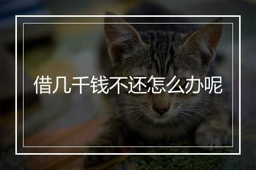 借几千钱不还怎么办呢