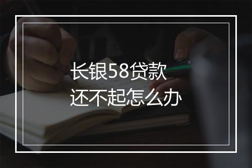 长银58贷款还不起怎么办