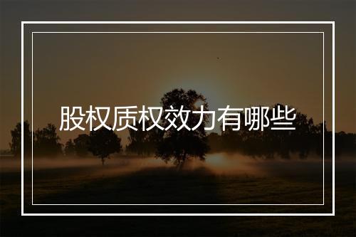 股权质权效力有哪些
