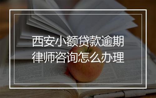 西安小额贷款逾期律师咨询怎么办理