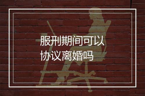 服刑期间可以协议离婚吗