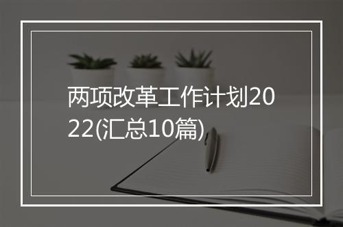 两项改革工作计划2022(汇总10篇)