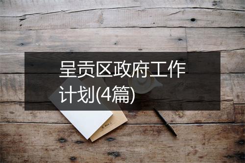 呈贡区政府工作计划(4篇)