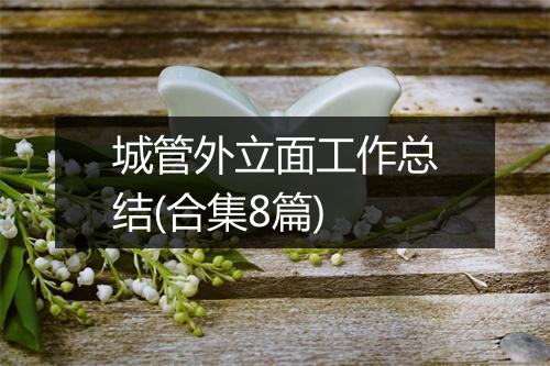 城管外立面工作总结(合集8篇)