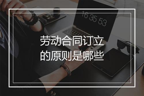 劳动合同订立的原则是哪些