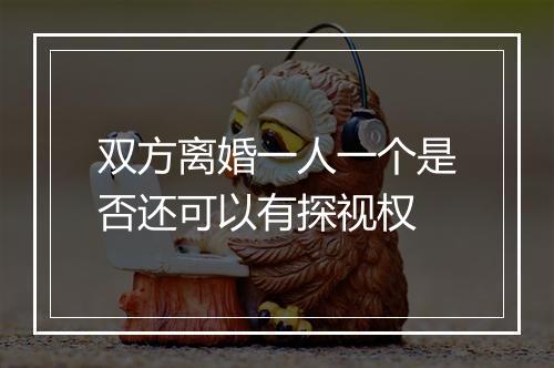 双方离婚一人一个是否还可以有探视权