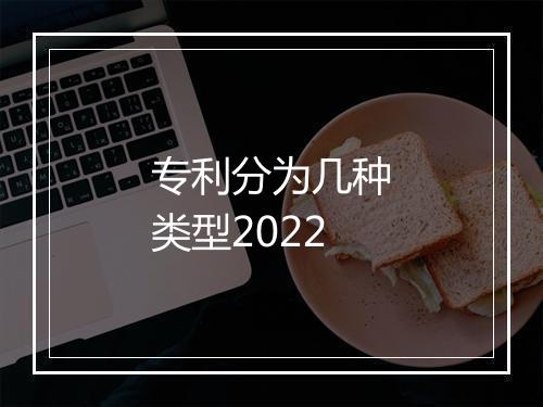 专利分为几种类型2022