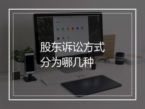 股东诉讼方式分为哪几种