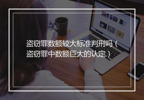 盗窃罪数额较大标准判刑吗（盗窃罪中数额巨大的认定）