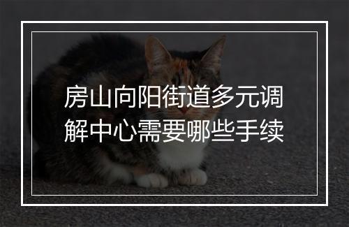 房山向阳街道多元调解中心需要哪些手续