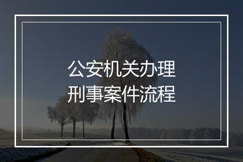 公安机关办理刑事案件流程