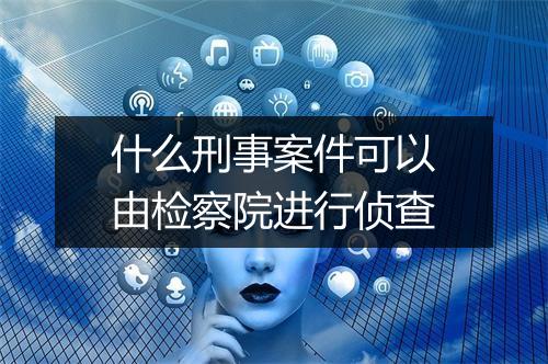 什么刑事案件可以由检察院进行侦查