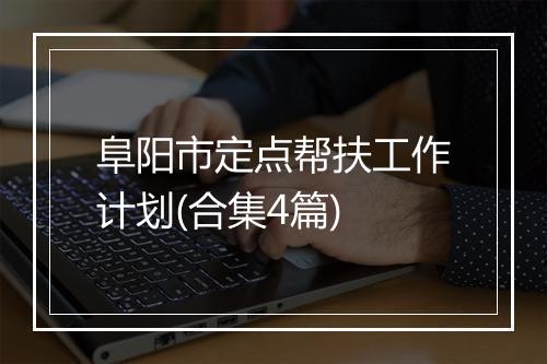 阜阳市定点帮扶工作计划(合集4篇)