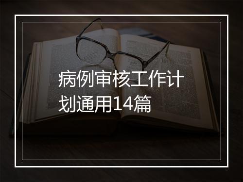 病例审核工作计划通用14篇