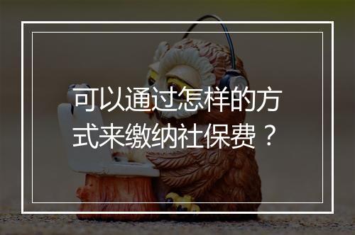 可以通过怎样的方式来缴纳社保费？