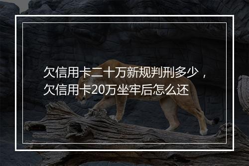 欠信用卡二十万新规判刑多少，欠信用卡20万坐牢后怎么还