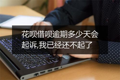 花呗借呗逾期多少天会起诉,我已经还不起了