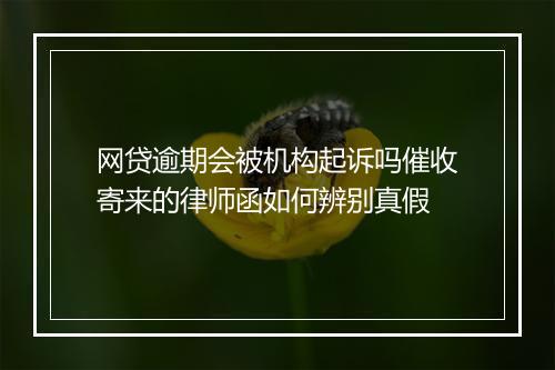 网贷逾期会被机构起诉吗催收寄来的律师函如何辨别真假