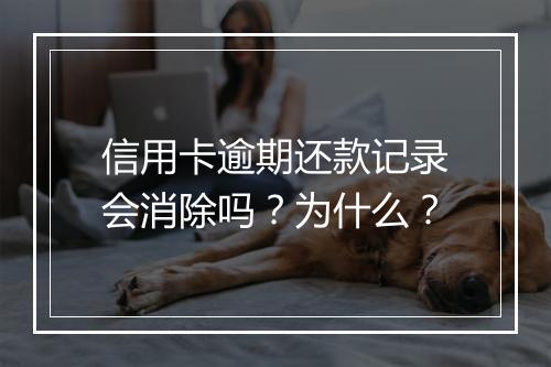信用卡逾期还款记录会消除吗？为什么？
