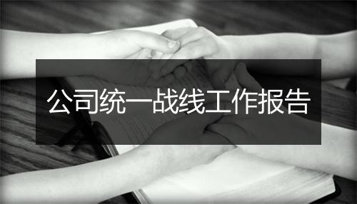 公司统一战线工作报告