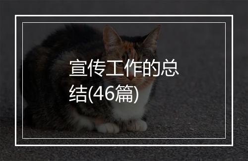 宣传工作的总结(46篇)