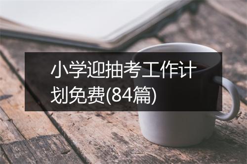 小学迎抽考工作计划免费(84篇)