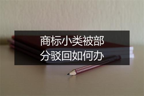 商标小类被部分驳回如何办