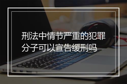 刑法中情节严重的犯罪分子可以宣告缓刑吗
