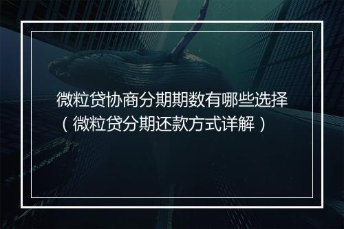 微粒贷协商分期期数有哪些选择（微粒贷分期还款方式详解）