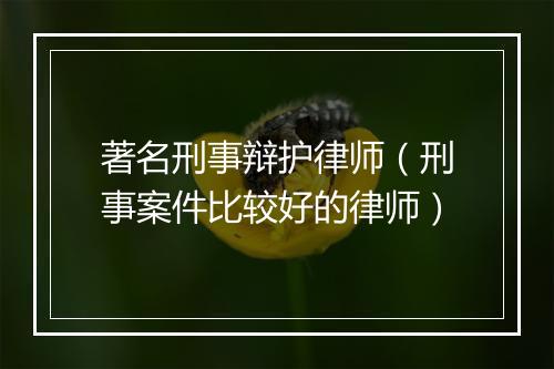 著名刑事辩护律师（刑事案件比较好的律师）