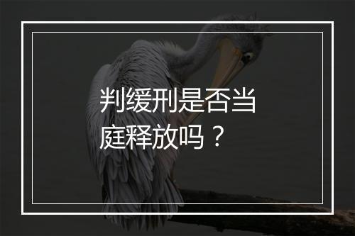 判缓刑是否当庭释放吗？