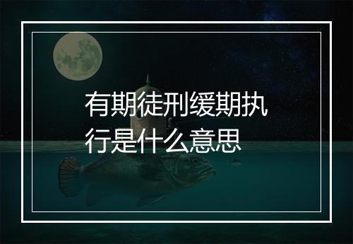 有期徒刑缓期执行是什么意思