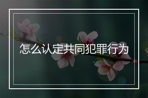 怎么认定共同犯罪行为