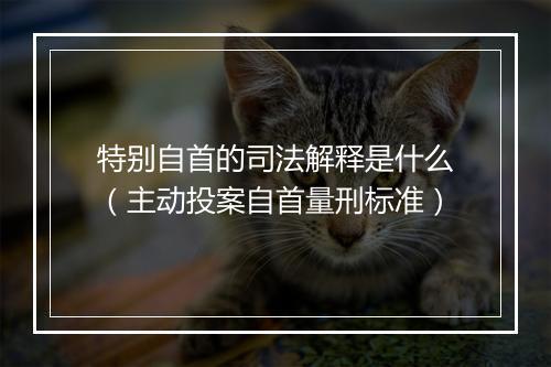 特别自首的司法解释是什么（主动投案自首量刑标准）