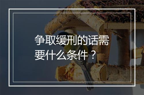 争取缓刑的话需要什么条件？