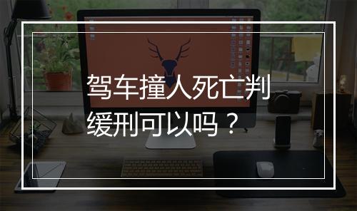 驾车撞人死亡判缓刑可以吗？